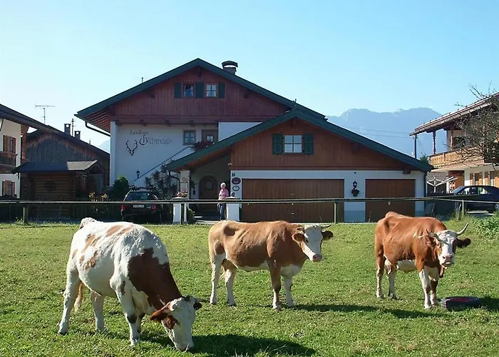 Gschwand